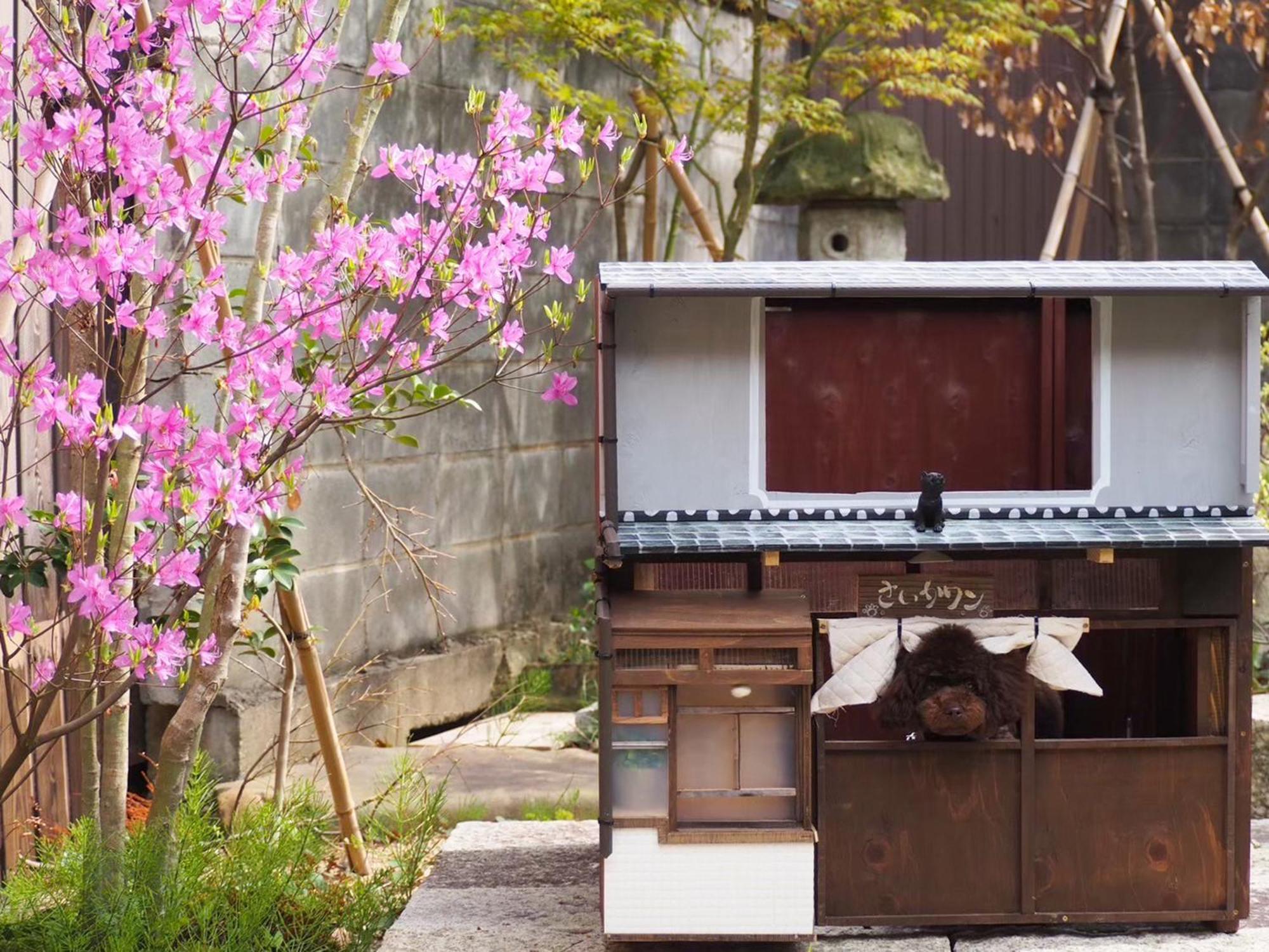 古民家の宿宰嘉庵 Traditionaljapanisehotel Saikaan Maizuru Exterior foto